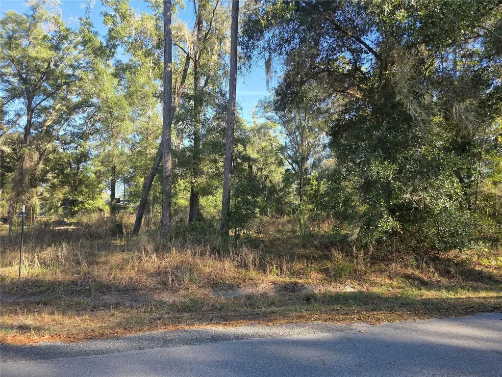 Tbd NW 120th Avenue Ocala FL 34482