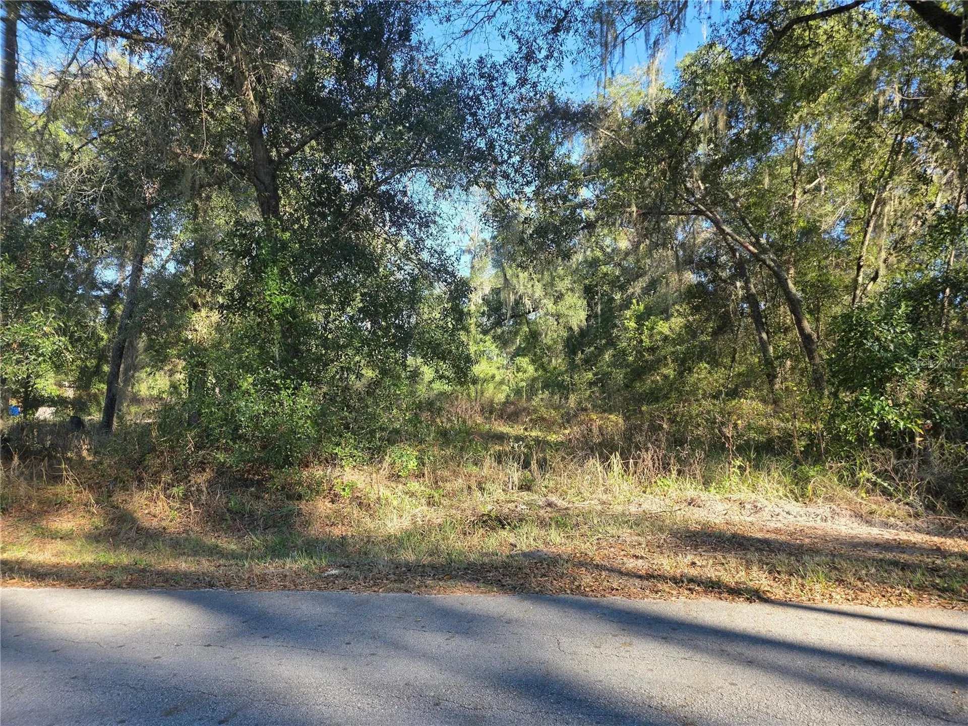 Tbd NW 120th Avenue Ocala FL 34482