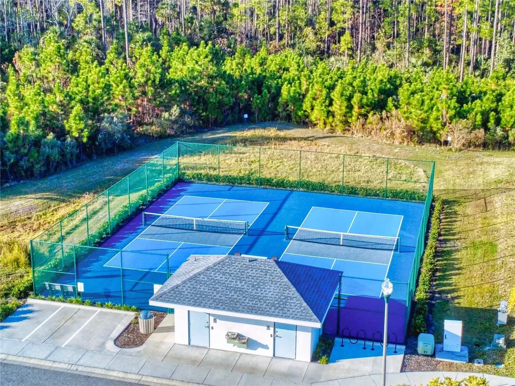 354 Caryota Court New Smyrna Beach FL 32168