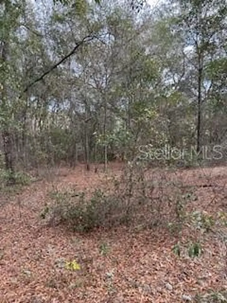 00 Riviera Drive Interlachen FL 32148