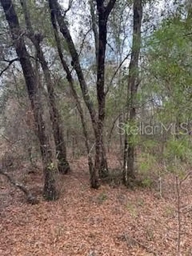 00 Riviera Drive Interlachen FL 32148