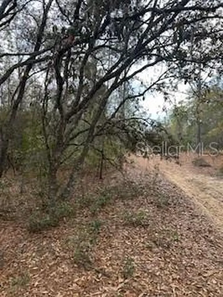 00 Riviera Drive Interlachen FL 32148