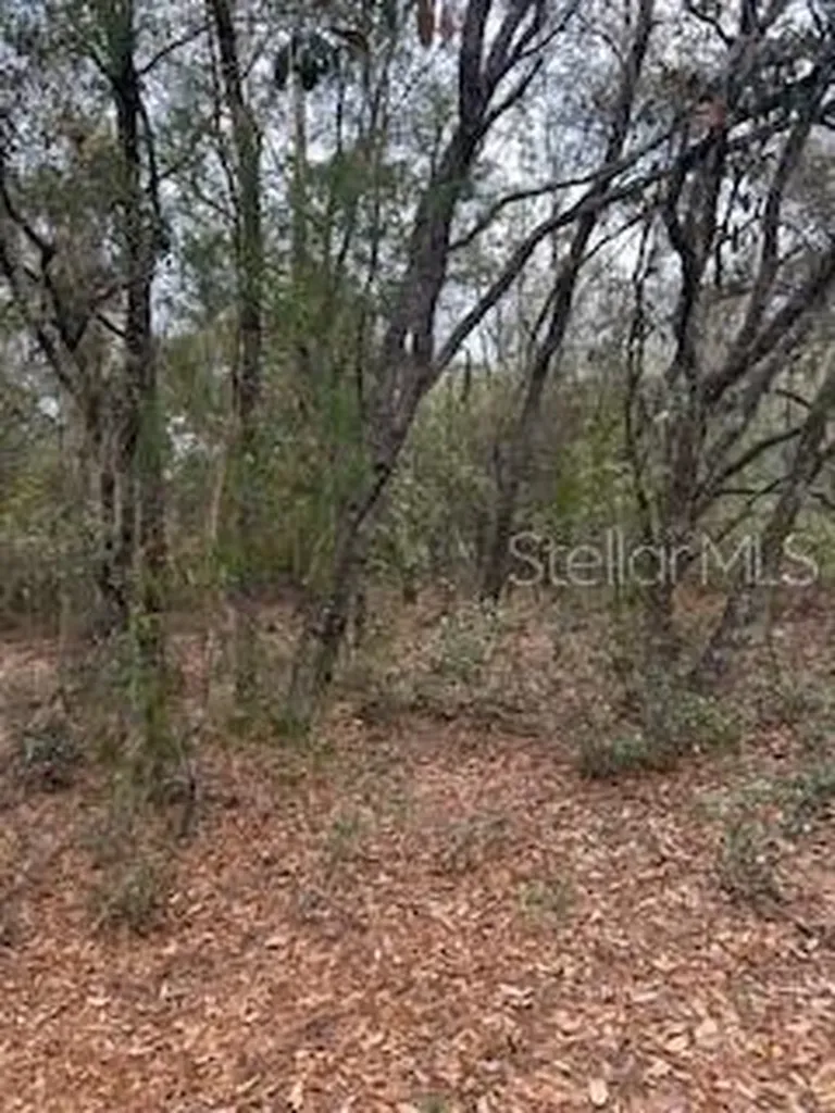 00 Riviera Drive Interlachen FL 32148