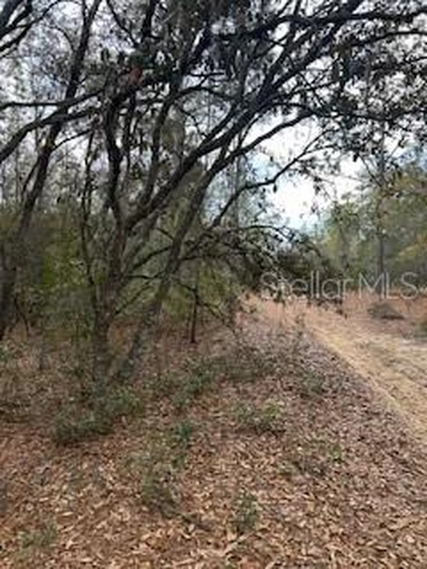00 Riviera Drive Interlachen FL 32148