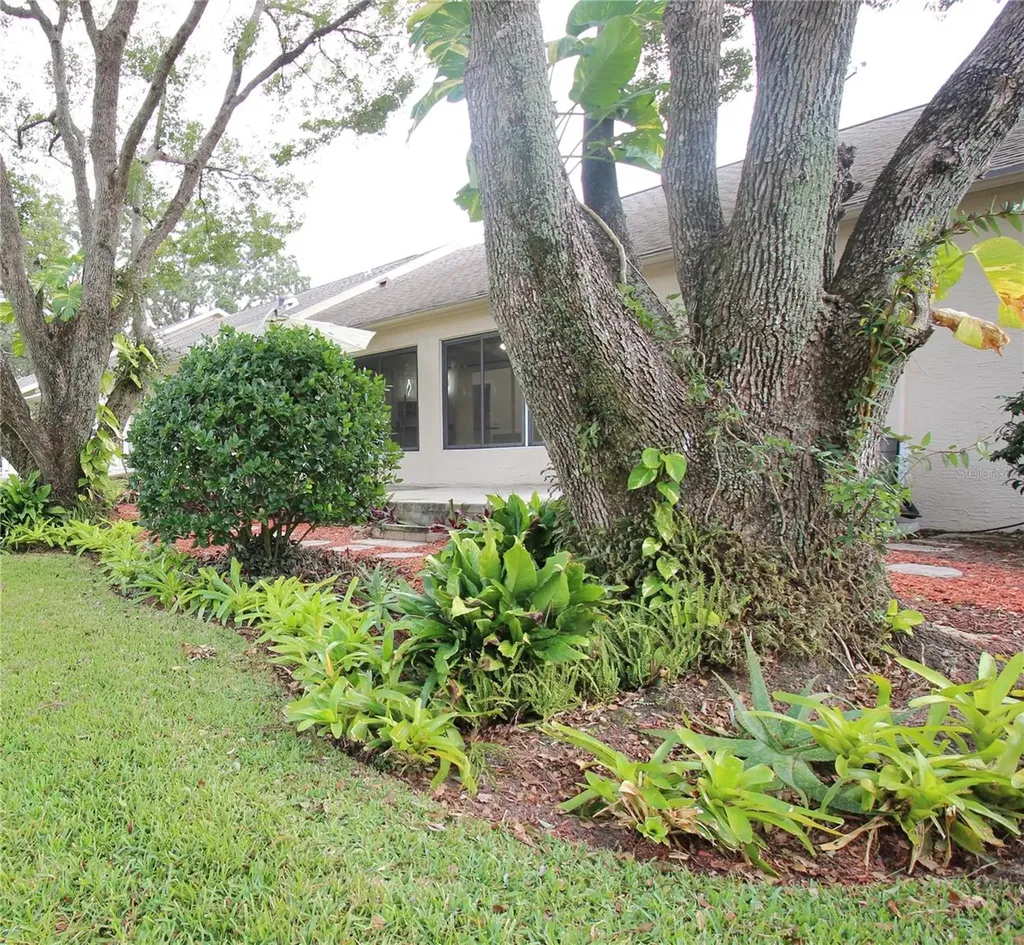 2113 Springmeadow Drive Spring Hill FL 34606