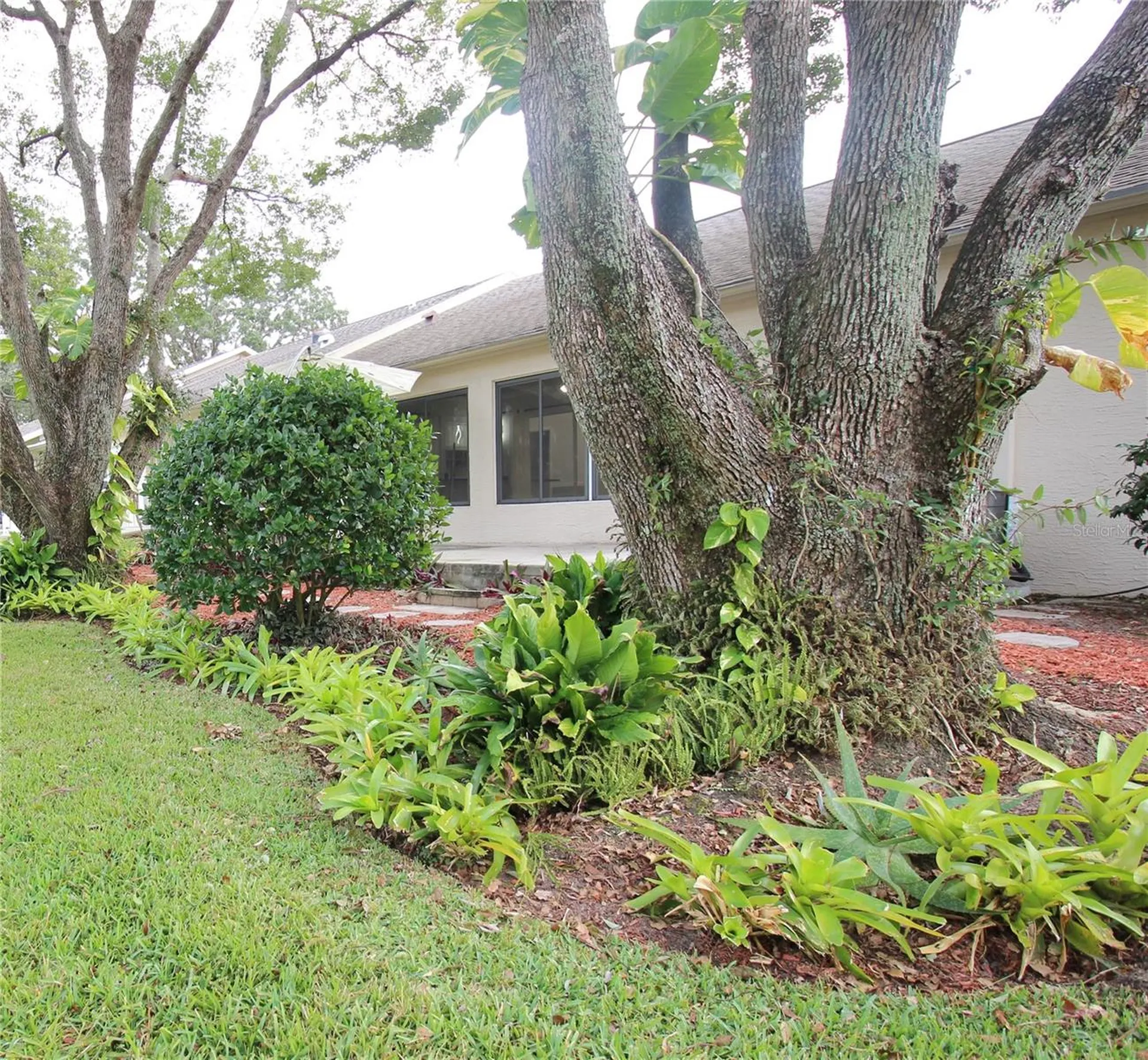2113 Springmeadow Drive Spring Hill FL 34606