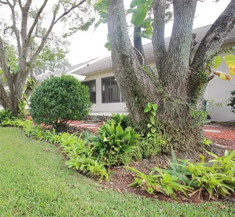 2113 Springmeadow Drive Spring Hill FL 34606