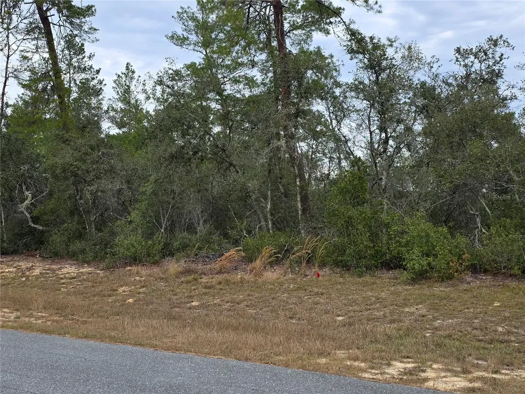 165 SW Street Road Ocala FL 34473