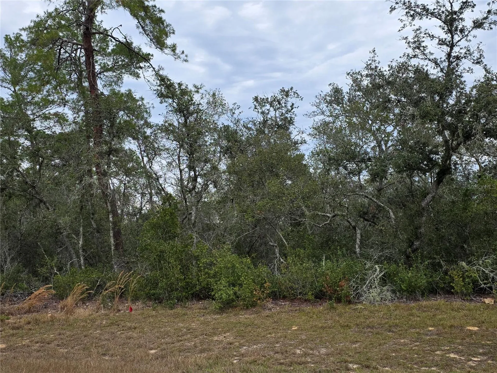 165 SW Street Road Ocala FL 34473