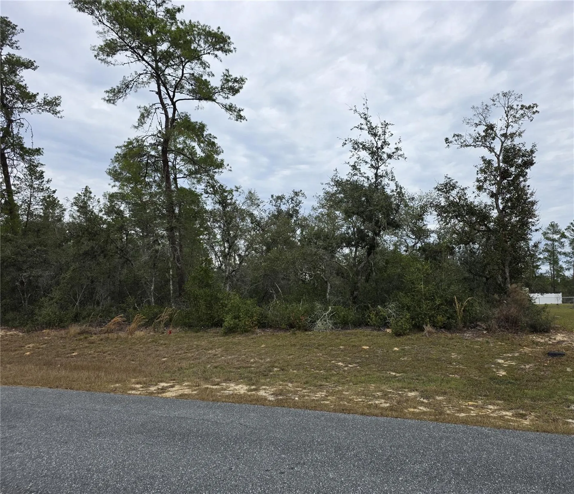 165 SW Street Road Ocala FL 34473
