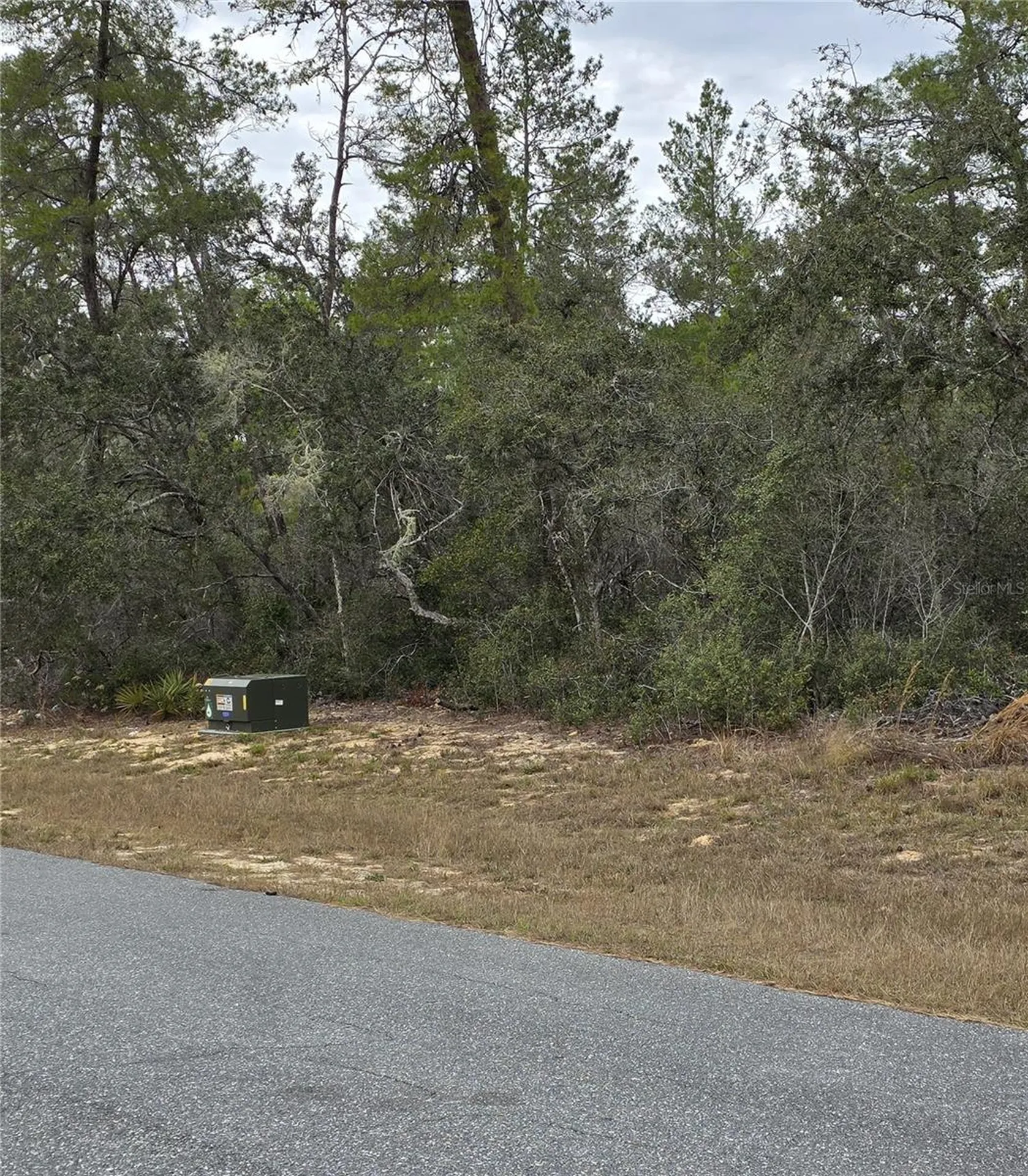 165 SW Street Road Ocala FL 34473
