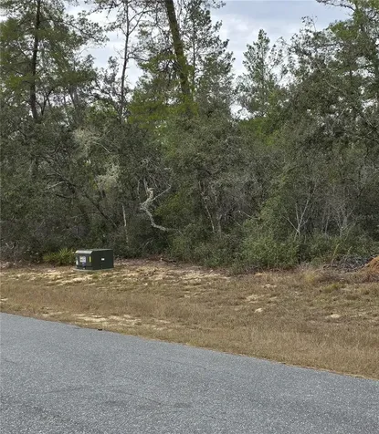 165 SW Street Road Ocala FL 34473