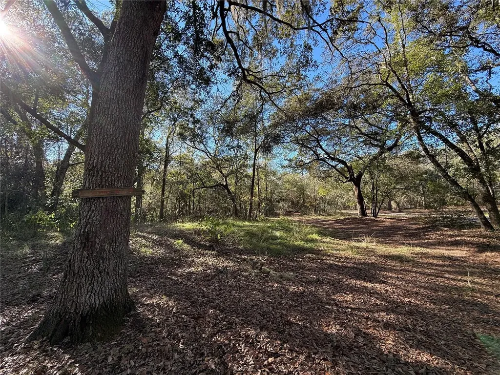 132 Pond Side Trail Hawthorne FL 32640