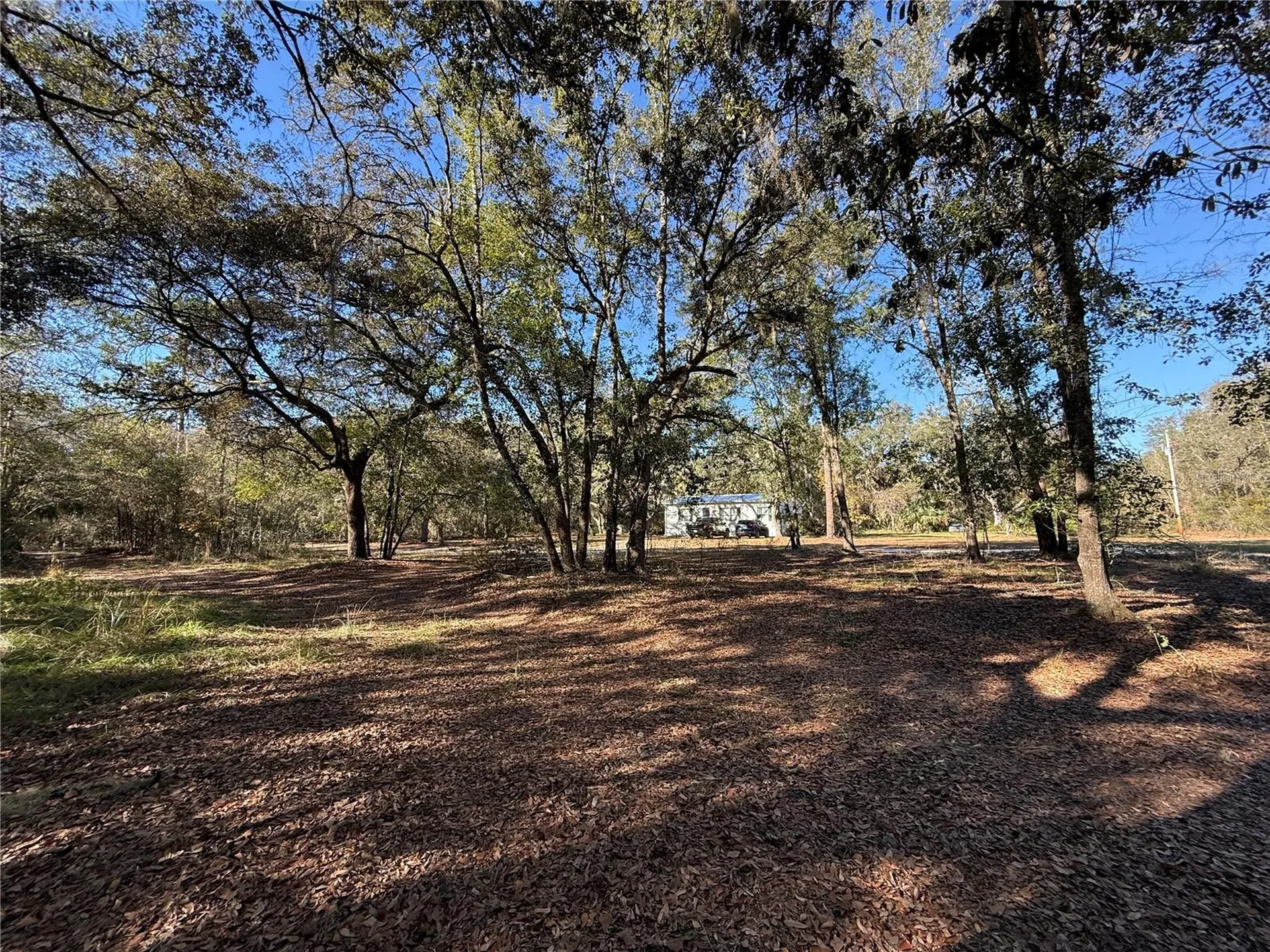 132 Pond Side Trail Hawthorne FL 32640