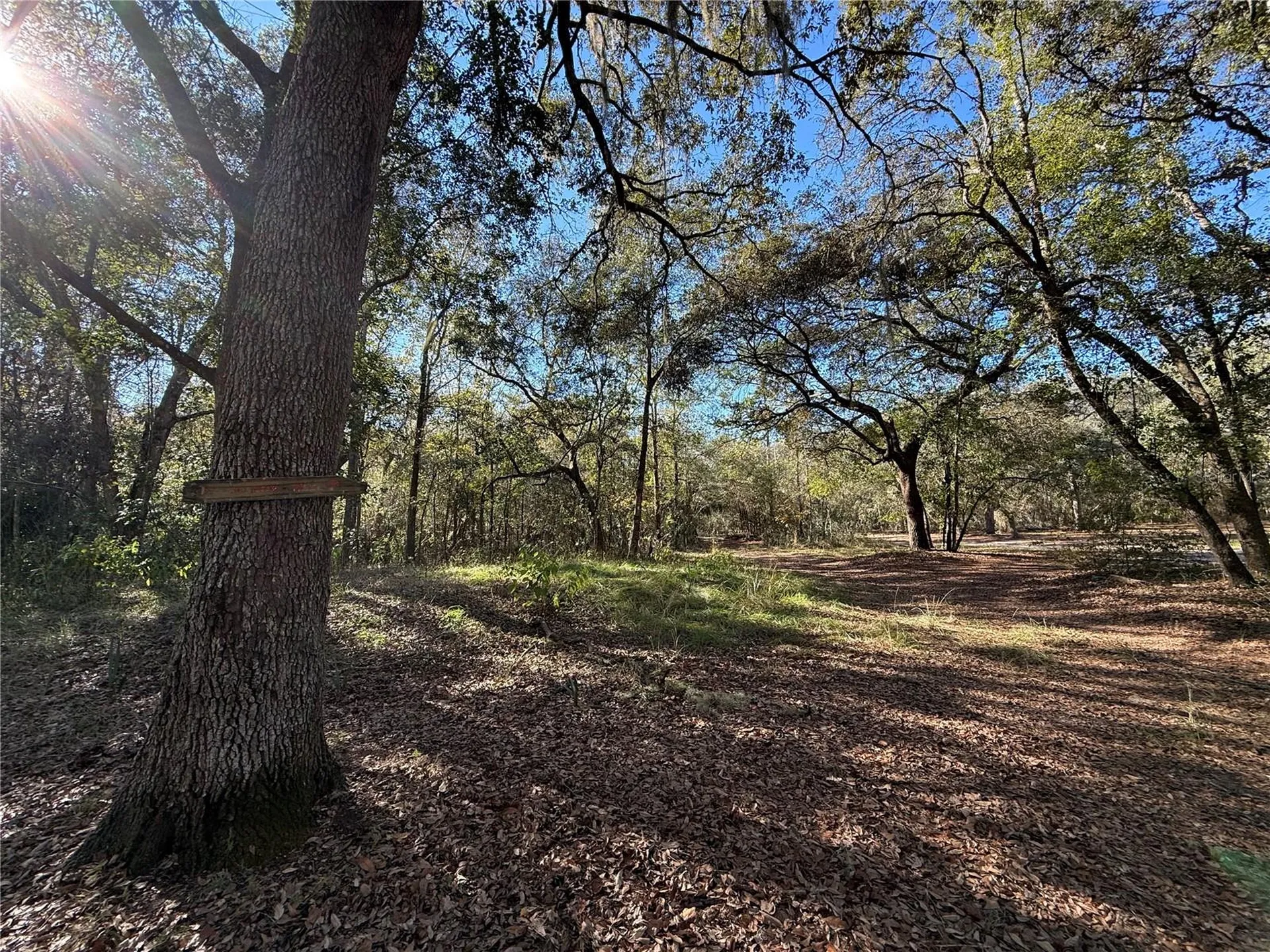 132 Pond Side Trail Hawthorne FL 32640