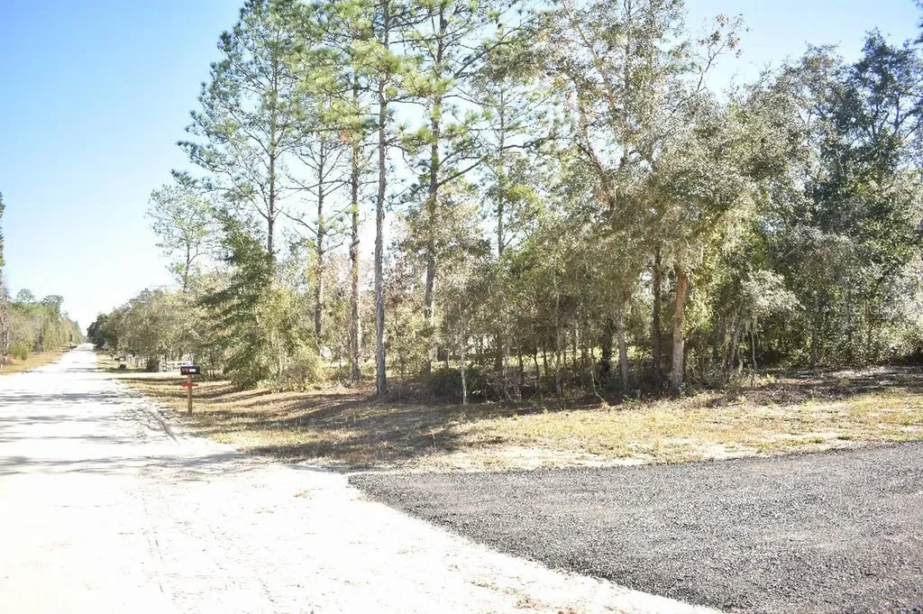 13230 NE 9th Street Williston FL 32696