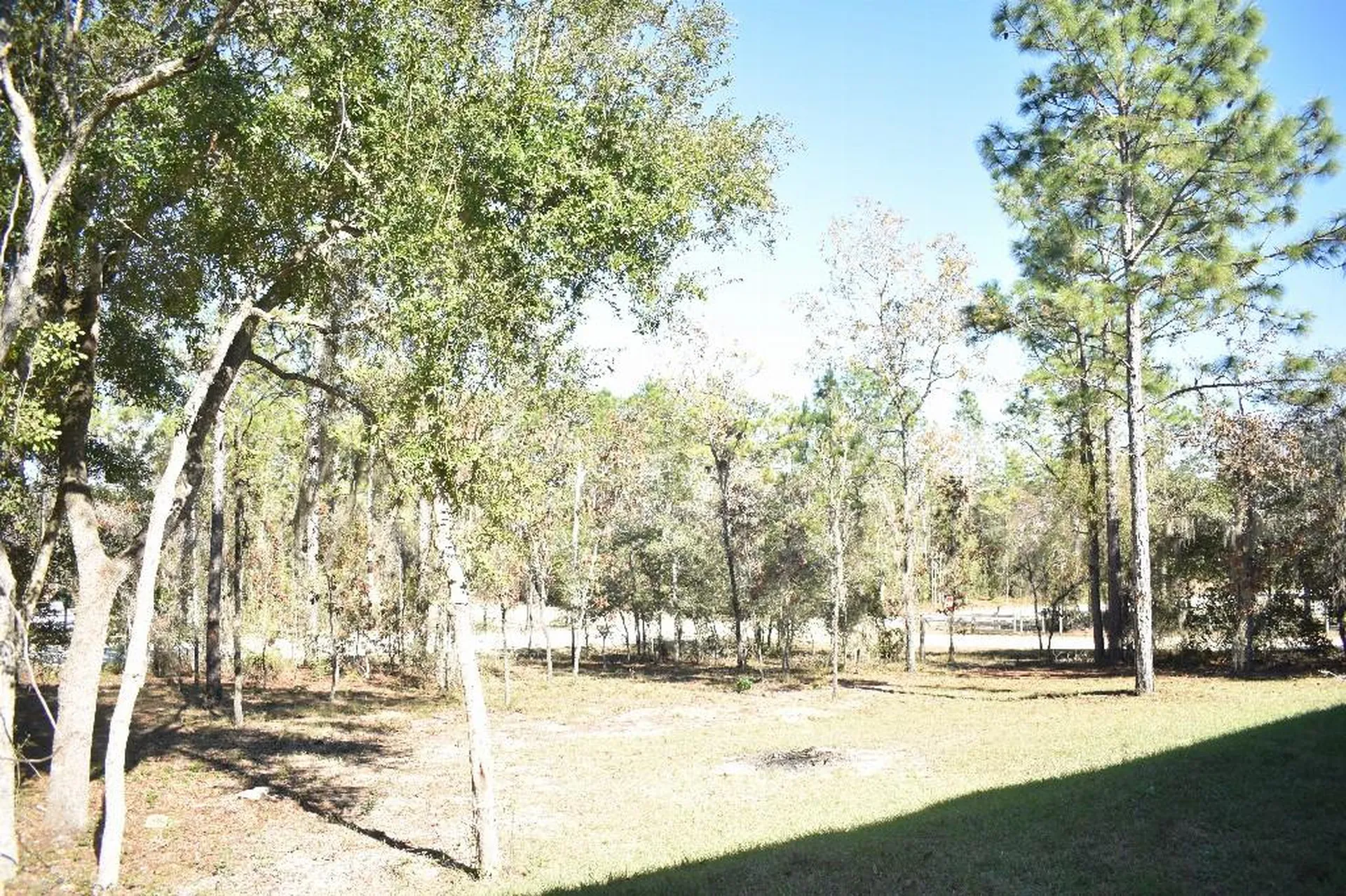 13230 NE 9th Street Williston FL 32696
