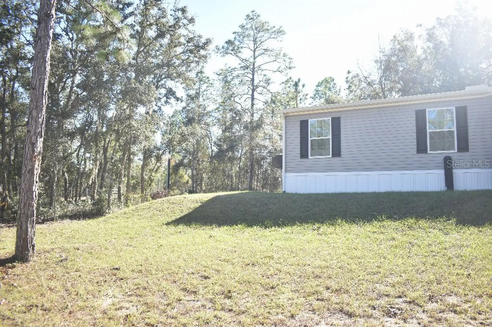 13230 NE 9th Street Williston FL 32696