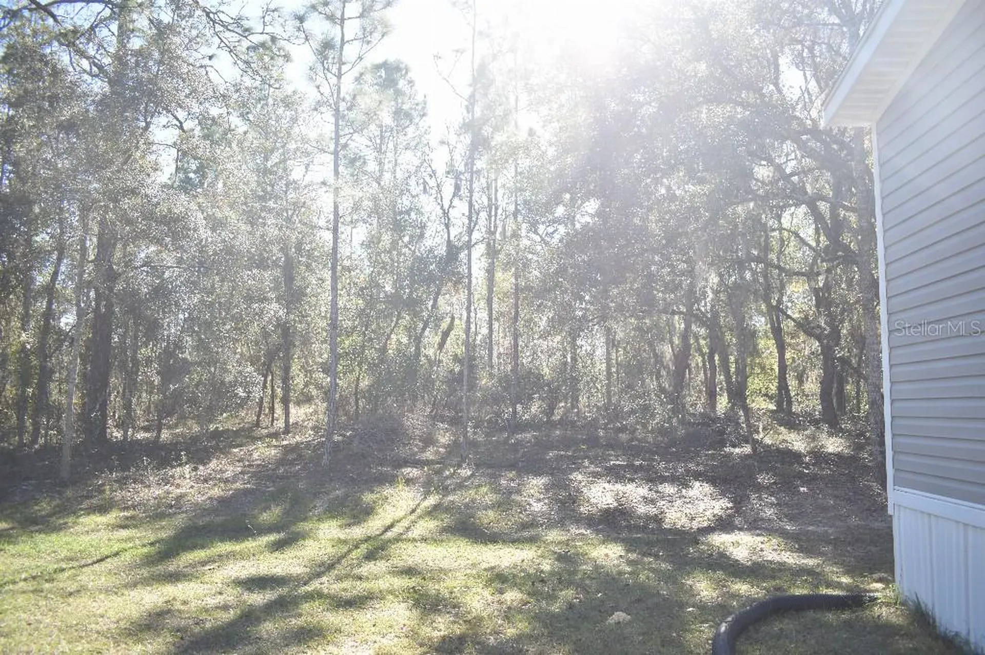 13230 NE 9th Street Williston FL 32696