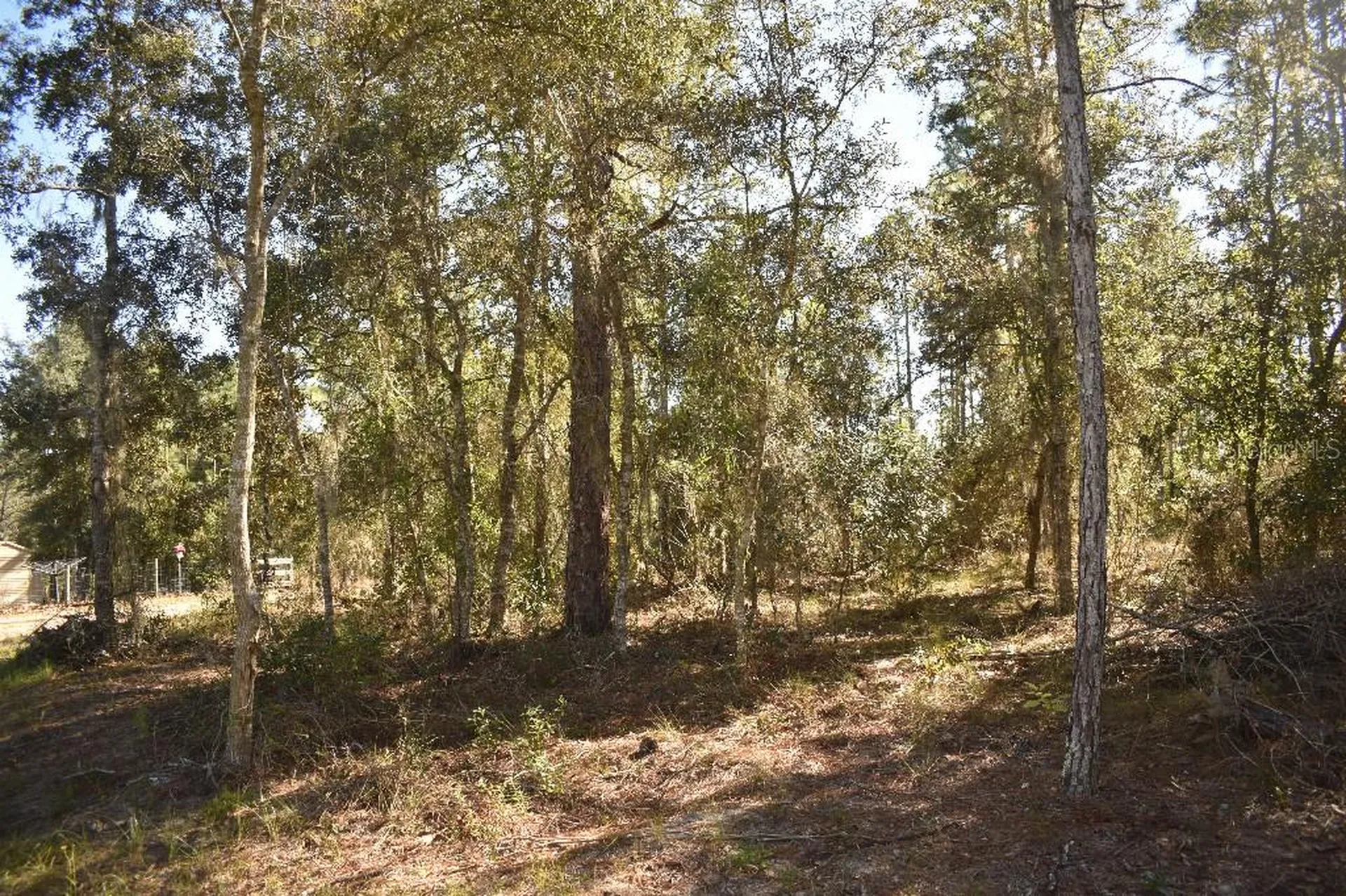 13230 NE 9th Street Williston FL 32696