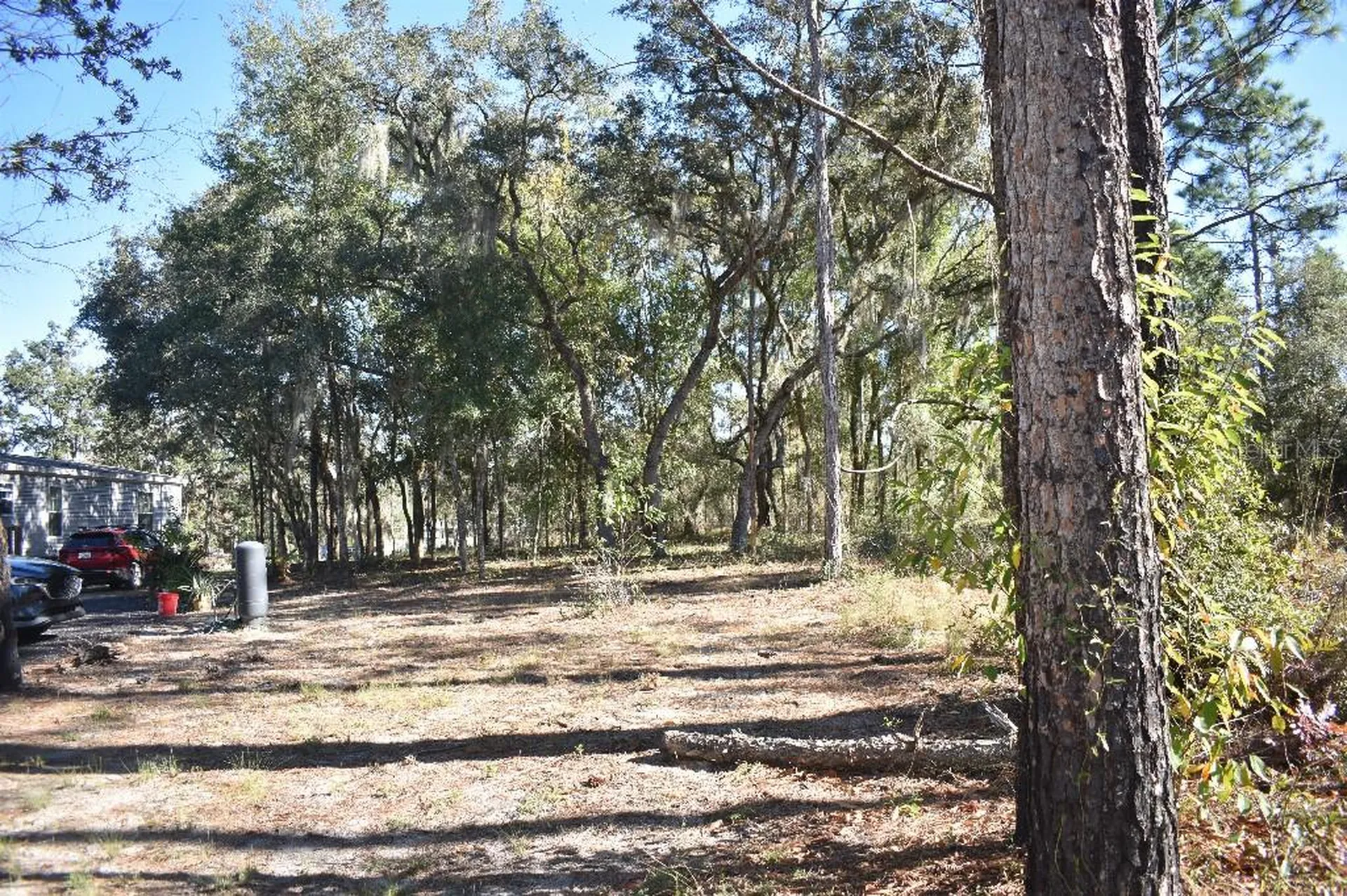 13230 NE 9th Street Williston FL 32696