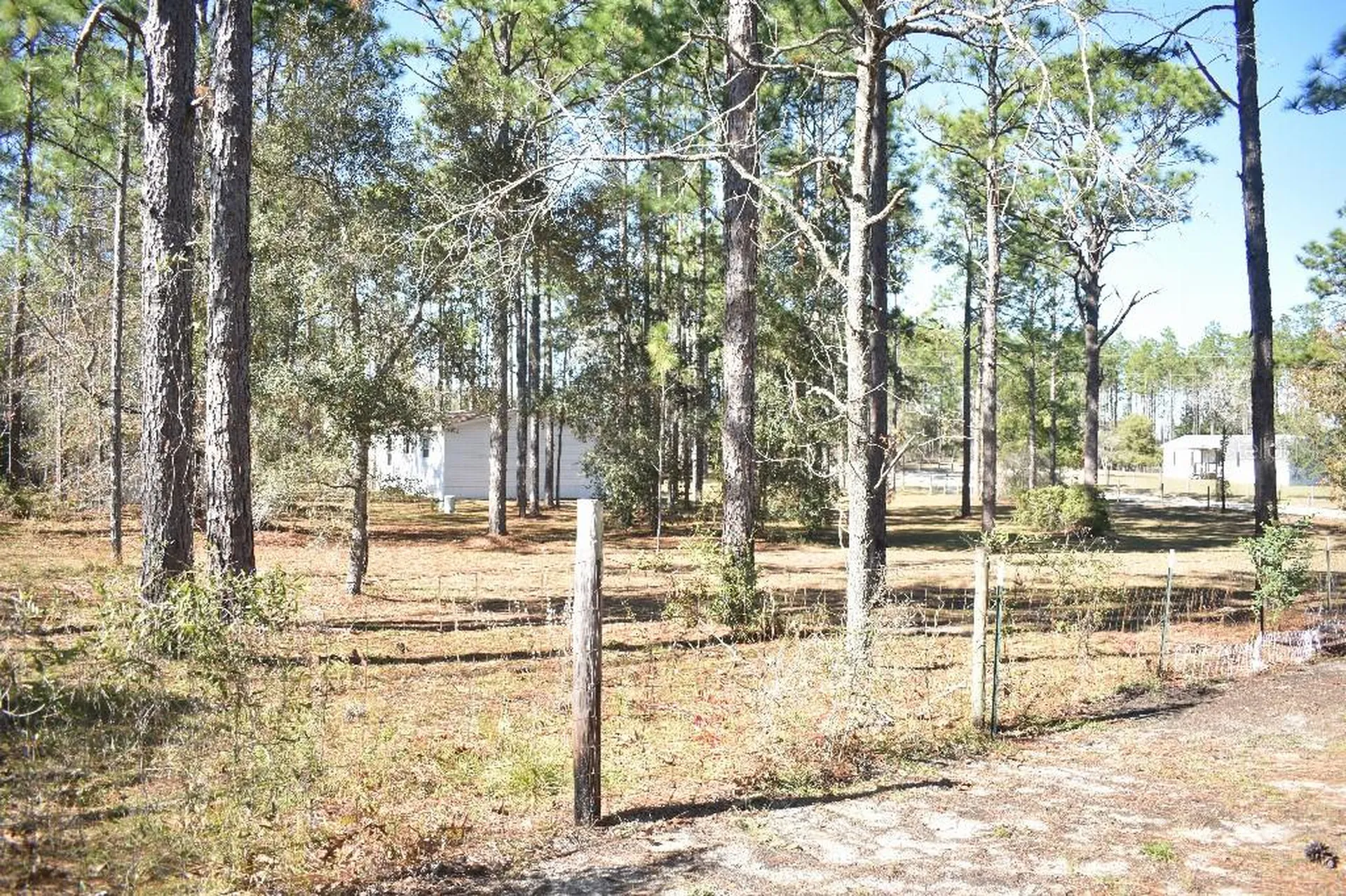13230 NE 9th Street Williston FL 32696