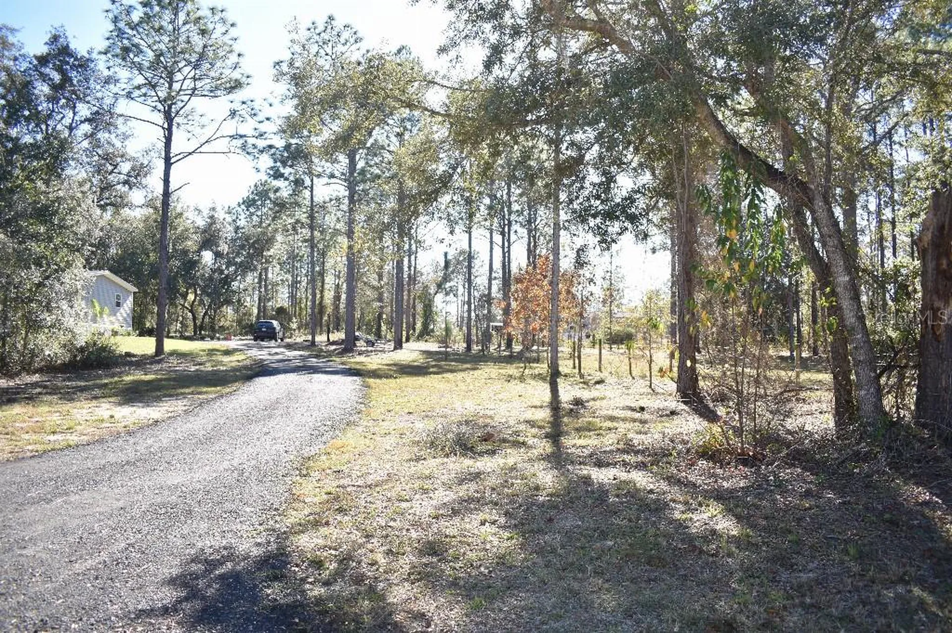 13230 NE 9th Street Williston FL 32696