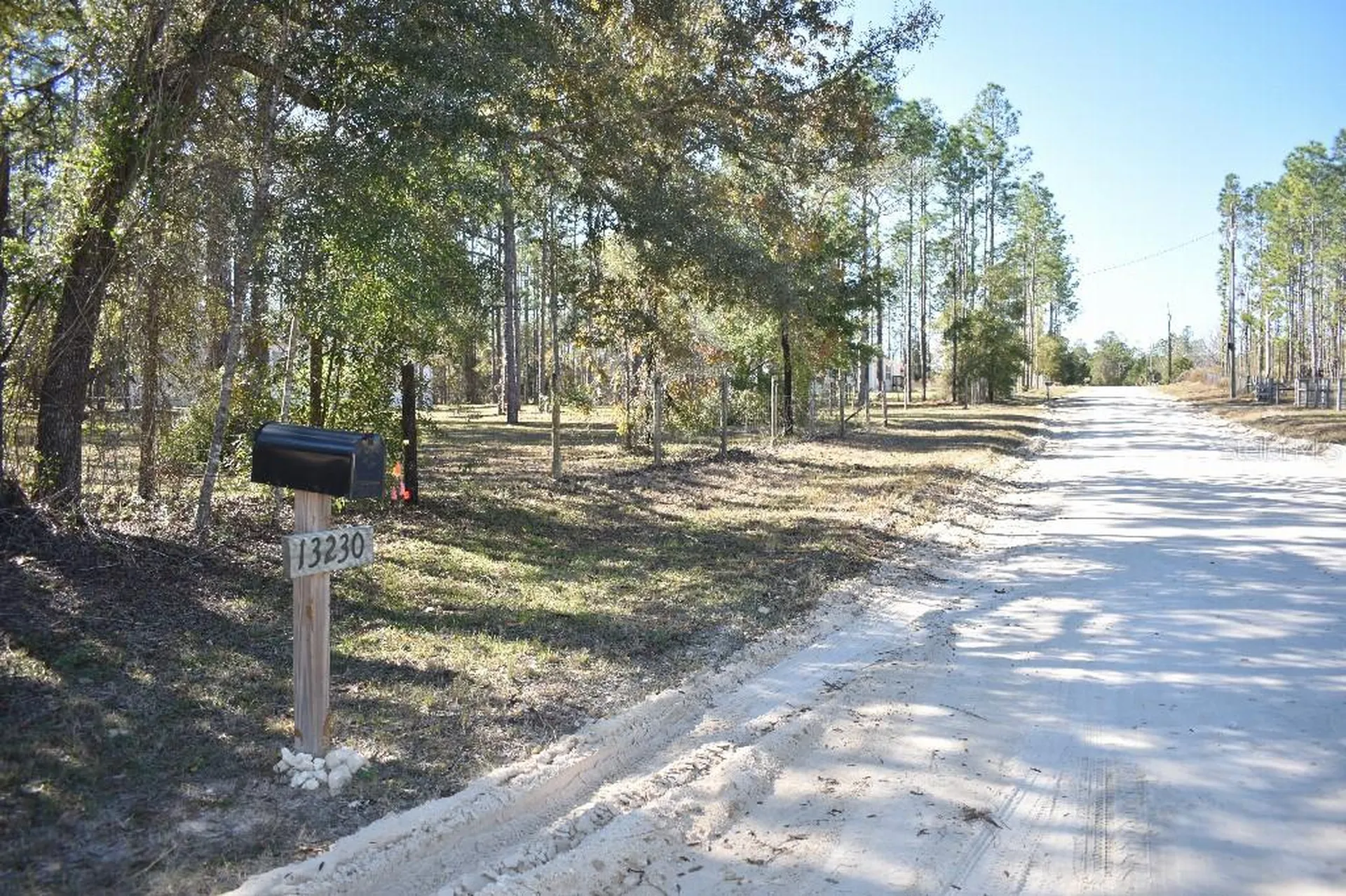 13230 NE 9th Street Williston FL 32696