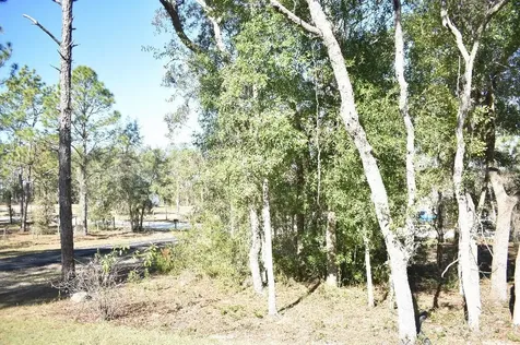 13230 NE 9th Street Williston FL 32696