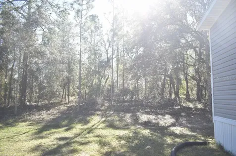13230 NE 9th Street Williston FL 32696