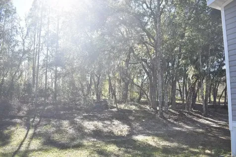 13230 NE 9th Street Williston FL 32696