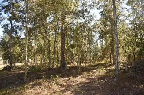 13230 NE 9th Street Williston FL 32696