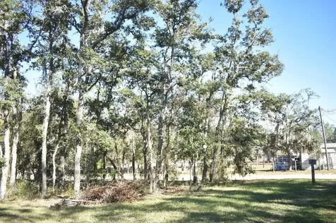 13230 NE 9th Street Williston FL 32696