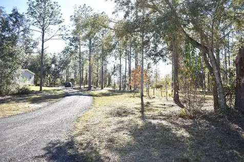 13230 NE 9th Street Williston FL 32696