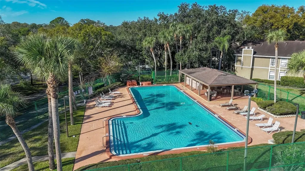 14419 Hanging Moss Circle Tampa FL 33613