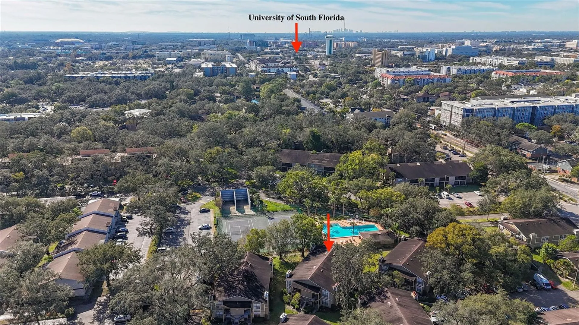 14419 Hanging Moss Circle Tampa FL 33613