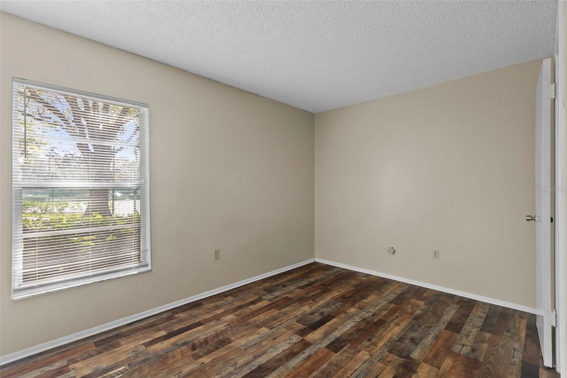 14419 Hanging Moss Circle Tampa FL 33613