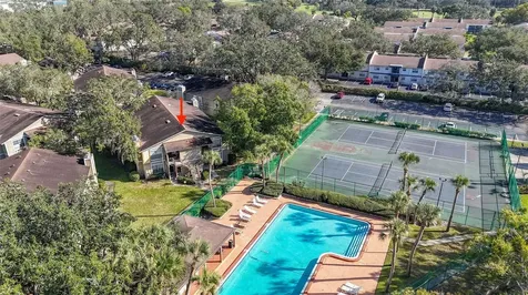 14419 Hanging Moss Circle Tampa FL 33613