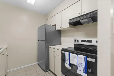 14419 Hanging Moss Circle Tampa FL 33613