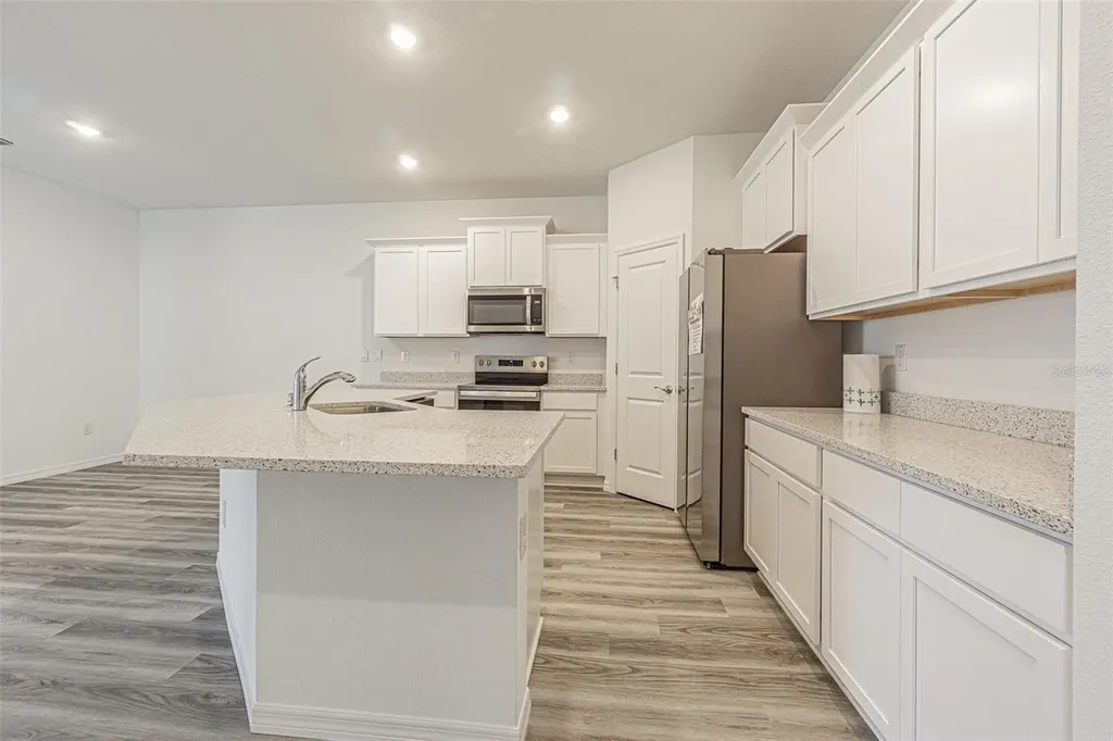 31415 Paper Birch Street Wesley Chapel FL 33545