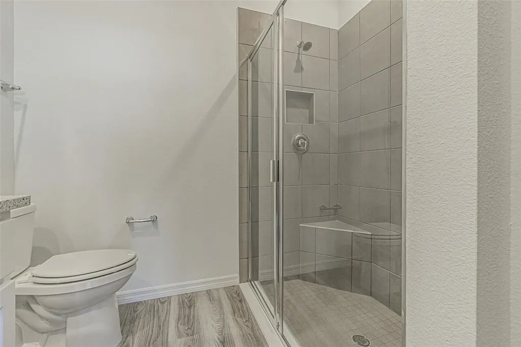 31415 Paper Birch Street Wesley Chapel FL 33545
