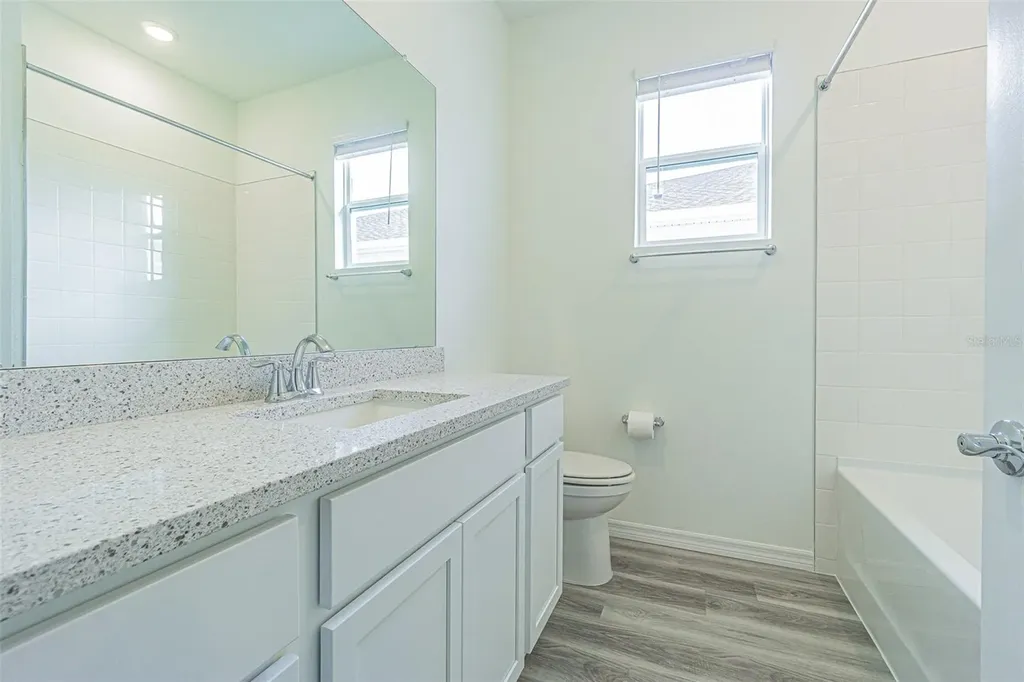 31415 Paper Birch Street Wesley Chapel FL 33545