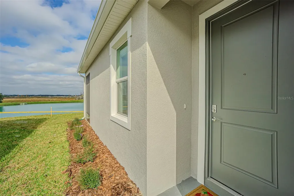 31415 Paper Birch Street Wesley Chapel FL 33545
