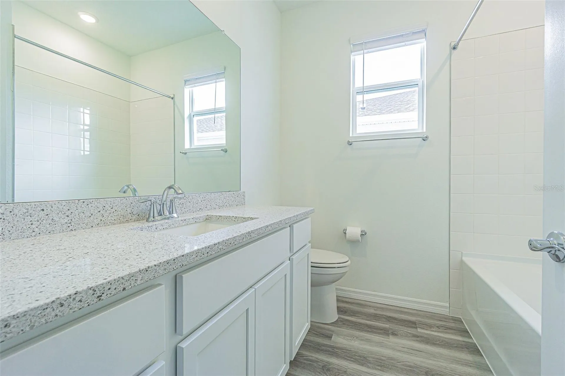 31415 Paper Birch Street Wesley Chapel FL 33545