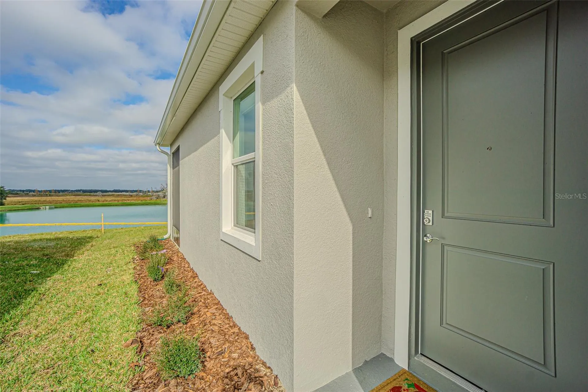 31415 Paper Birch Street Wesley Chapel FL 33545