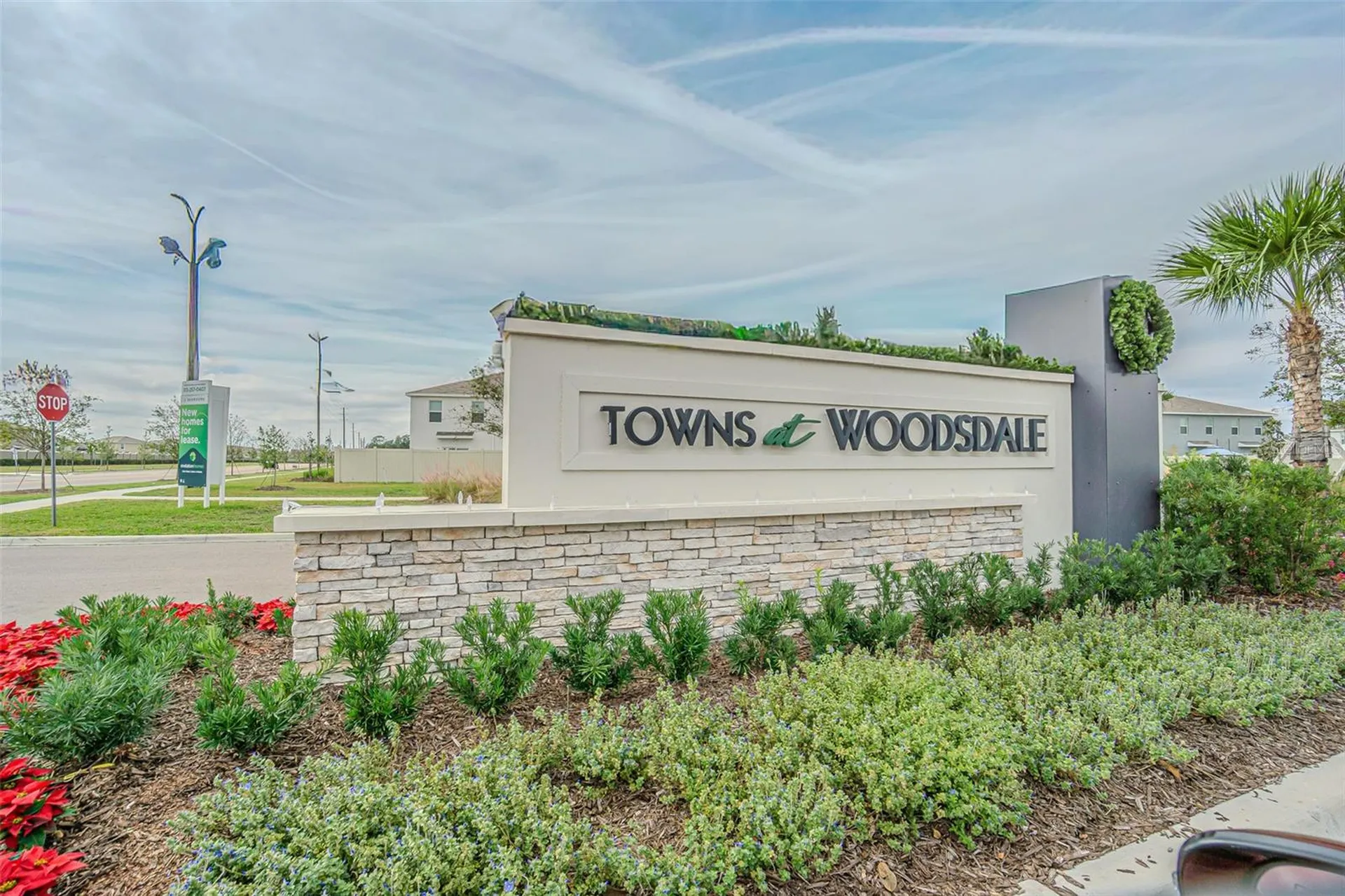 31415 Paper Birch Street Wesley Chapel FL 33545