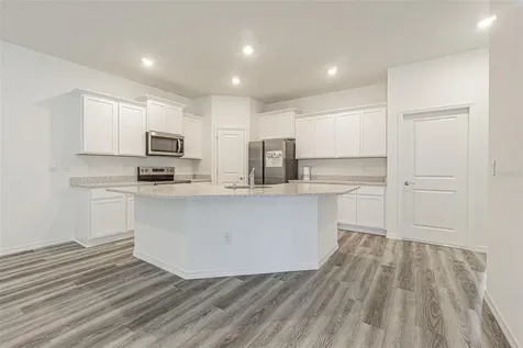 31415 Paper Birch Street Wesley Chapel FL 33545
