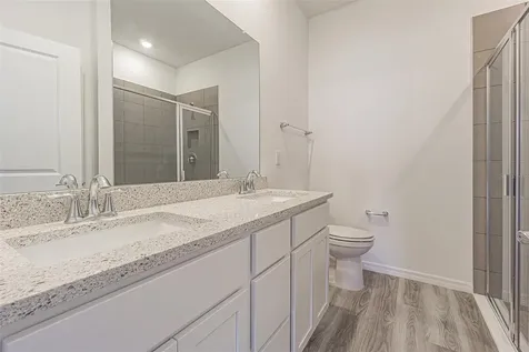 31415 Paper Birch Street Wesley Chapel FL 33545