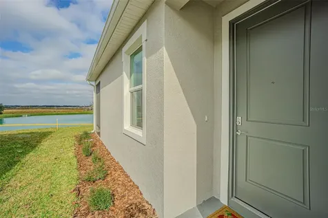 31415 Paper Birch Street Wesley Chapel FL 33545