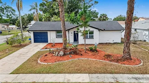 6802 Chippendale Court Tampa FL 33634